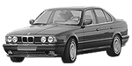 BMW E34 P0601 Fault Code