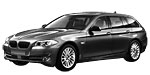 BMW F11 P0601 Fault Code